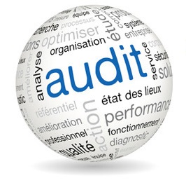 Audits Purgeurs et Énergétiques